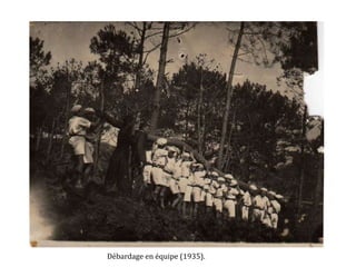 Débardage en équipe (1935).
 