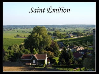 Saint Émilion
 