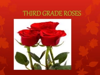 THIRD GRADE ROSES