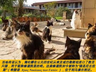 当地传说认为，海伦娜在公元四世纪从埃及或巴勒斯坦进口了数百
只猫，用于驱除修道院里的蛇。这座修道院如今被称为“猫圣尼古拉
斯”（希腊语 Άγιος Νικόλαος των Γατών ），位于利马索尔附近。
 