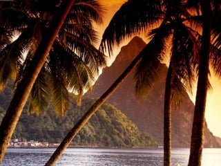 Saint Lucia