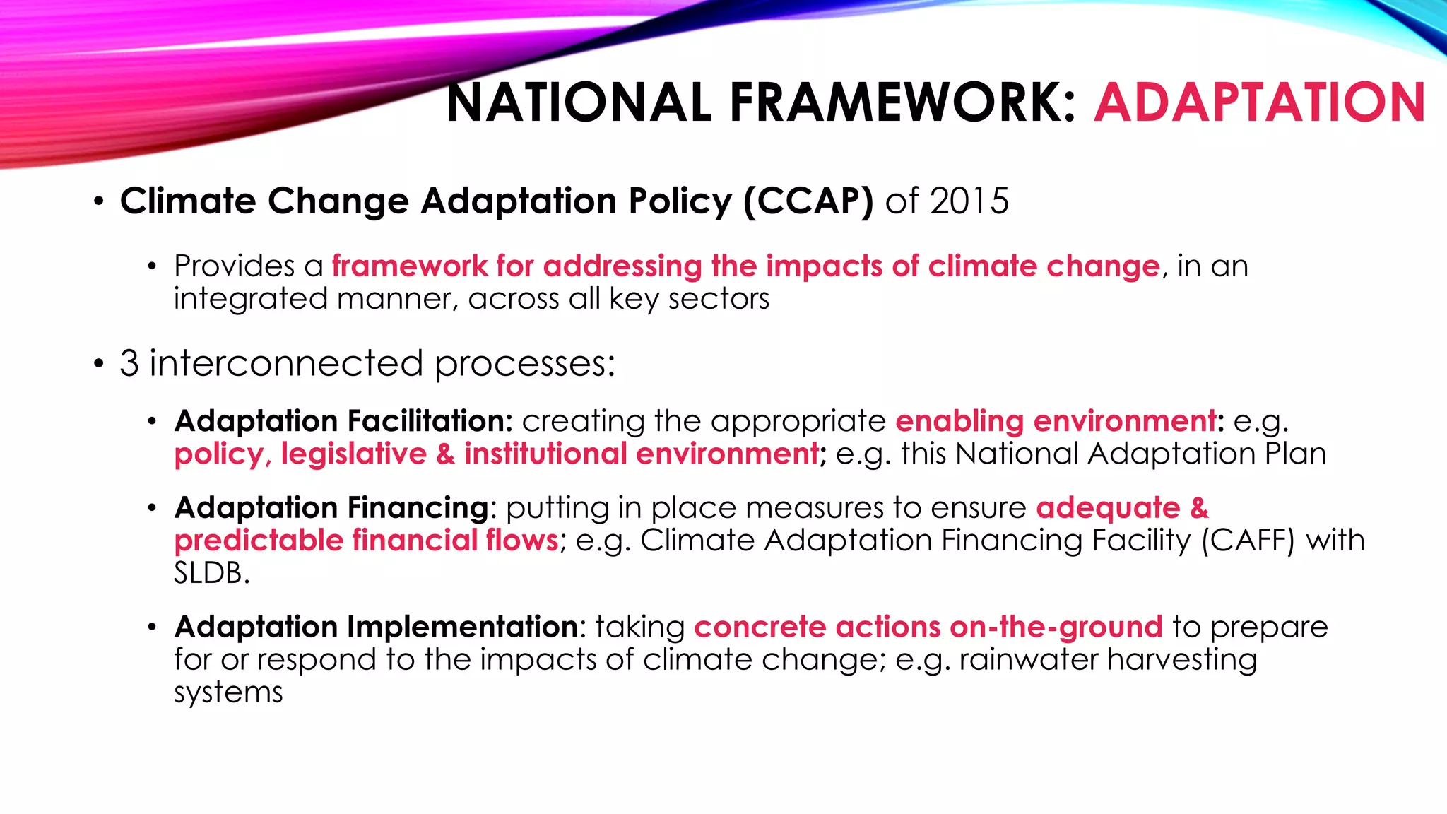 Slide 6