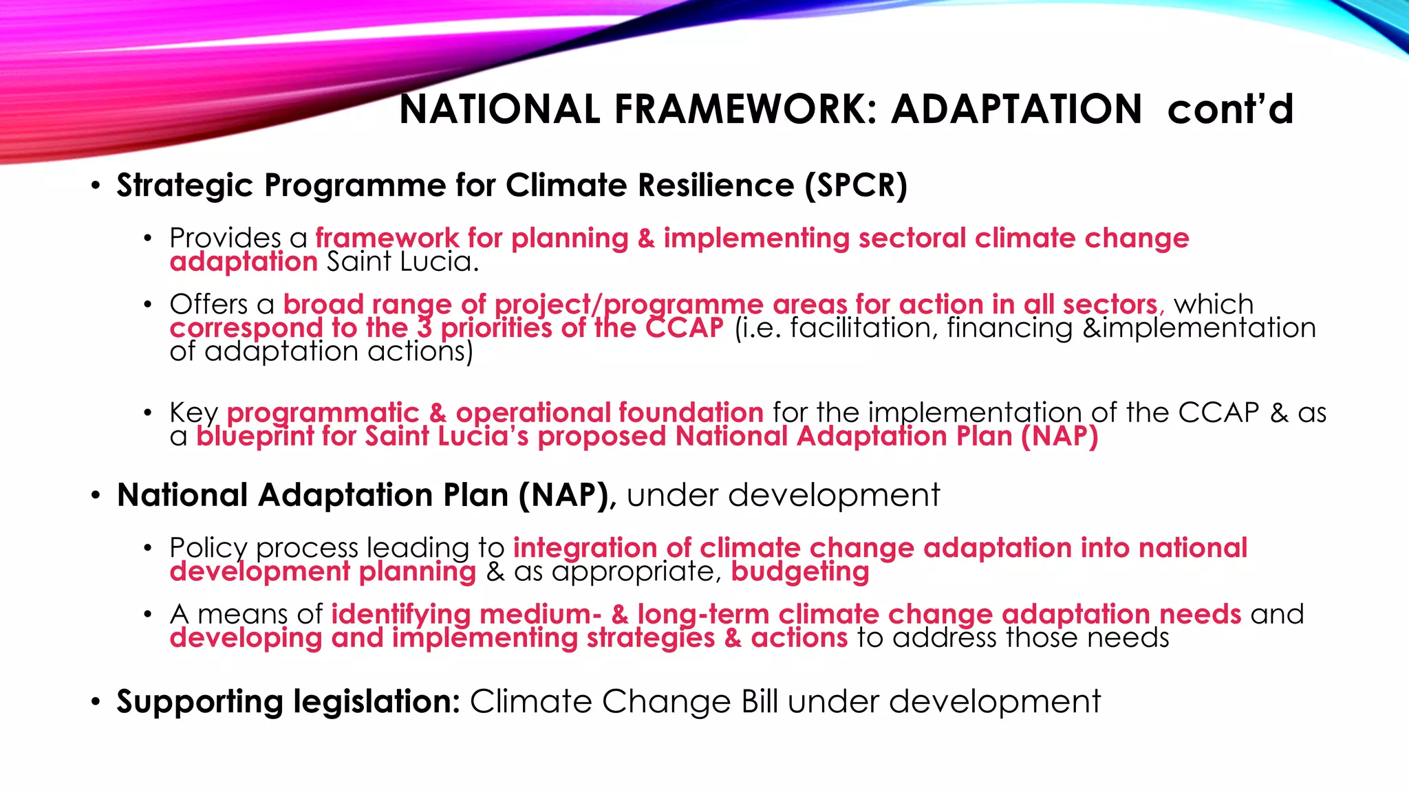Slide 8