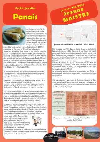 On croyait ce pilier de la
cuisine paysanne oublié.
Grâce à des passionnés, ce
légume-racine est de nou-
veau cultivé dans nos po-
tagers. C'est une plante de
plaine, de prés sur sol cal-
caire ou de bords de che-
mins . Elle peut pousser en montagne jusqu'à 1 600 m
d'altitude. La floraison se déroule en juillet-août.
Si ce n'est sa couleur blanc ivoire et son col plus large, le
panais ressemble à une grosse carotte. Leur histoire se
confond, car la distinction entre ces deux plantes n'était
pas nette jusqu'à la fin de la Renaissance. Dès le Moyen-
Âge, il se cuisine couramment et reste présent dans le
pot-au-feu jusqu'à la Seconde Guerre mondiale. Il tombe
en désuétude.... jusqu'à sa redécouverte à la faveur d'un
intérêt pour les «légumes oubliés».
Le panais des jardins, aussi dénommé «pastenade» et
«grand chervis», est une variété améliorée du légume
sauvage. Il en existe trois variétés :
Le panais rond, identifiable à sa forme de toupie (12 à
15cm de diamètre) est le plus précoce.
Le demi-long, proche de la carotte, est le plus cultivé.
Le long( 30 à 45cm), lui, rappelle le légume sauvage.
Les panais ne craignent pas le gel, mais mieux vaut les ra-
masser petits et fermes pour qu'ils soient moins fibreux.
Tous se gardent comme des carottes, dans l'obscurité
d'une cave ou le sable. Souvent terreux, ils méritent une
toilette avant épluchage (ou un simple grattage).
Cuit à l'eau, il est aussi très bon préparé en purée, sur-
tout si l'on y ajoute un jus de cuisson de viande. Il accom-
pagne bien les volailles et autres viandes blanches, mais
aussi certains poissons telle la roussette. On peut le
consommer cru en salade (bien citronné). Quant à ses
fanes, juste jetées dans une sau-
teuse, elles peuvent agrémenter
une omelette ou une farce.
Il est le plus souvent utilisé comme
complément ou condiment, en rai-
son de sa saveur assez vive.
Le panais est plus riche en vitamines et minéraux que sa
cousine la carotte. Il est aussi une bonne source de fibres
alimentaires et de potassium.
Jeanne Maistre est née le 19 avril 1895 à Tahiti.
Elle s’engage en 1913 dans la Croix-Rouge et participe à
la première guerre. Elle dirige la Croix-Rouge de Brest,
puis pendant la seconde guerre est affectée au service
des armées et reçoit la Croix de Guerre. Après l’armis-
tice, elle dirige le dispensaire et fonde une école d’infir-
mières.
Elle est arrêtée à Brest le 27 septembre 1943 avec six
membres de la famille Gillet dont sa sœur et les frères
Guezennec (rue à St Marc) car soupçonnée de faire par-
tie du groupe ALLIANCE.
Le général de Gaulle qualifiera ce réseau de l’un des pre-
miers et plus importants services de renseignement sous
l’occupation.
Elle est déportée au camp de Schirmeck dans le Bas-
Rhin, puis transférée au camp du Struthof et exécutée le
2 septembre 1944 sur ordre d’élimination au moment
de l’évacuation du camp.
Plaque commémorative du camp du camp de concen-
tration du Struthof
Coté jardin
Panais
Le nom DES RUES
Jeanne
MAISTRE
Page 5
LE SAINT-MARC QUOI ? 
N° 37 entrée Crématorium
Mémorial des déportés
 