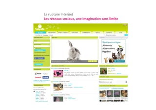 La rupture Internet
Les réseaux sociaux, une imagination sans limite
L é             i        i   i i          li i
 