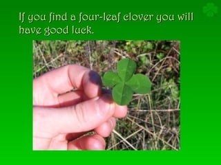 If you find a four-leaf clover you will have good luck. 
