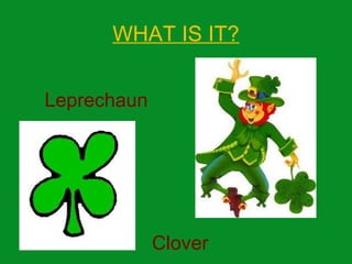 WHAT IS IT?
Leprechaun
Clover
 