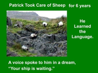 Patrick Took Care of Sheep
He
Learned
the
Language.
for 6 years
A voice spoke to him in a dream,
“Your ship is waiting.”
 