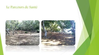 Le Parcours de Santé