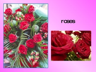 roses