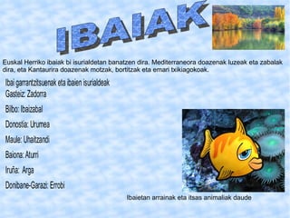 Ibaietan arrainak eta itsas animaliak daude Euskal Herriko ibaiak bi isurialdetan banatzen dira. Mediterraneora doazenak luzeak eta zabalak dira, eta Kantaurira doazenak motzak, bortitzak eta emari txikiagokoak. IBAIAK   