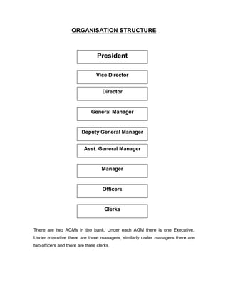 ORGANISATION STRUCTURE



                                 President

                                Vice Director


                                    Director


                              General Manager


                         Deputy General Manager


                          Asst. General Manager


                                   Manager


                                    Officers


                                     Clerks


There are two AGMs in the bank. Under each AGM there is one Executive.
Under executive there are three managers, similarly under managers there are
two officers and there are three clerks.
 
