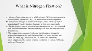 What is Nitrogen Fixation? 
 Nitrogen fixation is a process in which nitrogen (N2) in the atmosphere is 
converted into a...