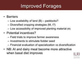 Improved Forages
• Barriers
– Low availability of land (B) – paddocks?
– Diversified cropping strategies (M, I?)
– Low accessibility of improved planting material (M)
• Potential incentives?
– Field trials to improve farmer awareness
– Investments to stimulate fodder seed
– Financial evaluation of specialization vs diversification
• NB: AI and dairy meal become more attractive
when basal diet improves
 