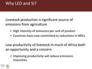 Why LED and SI?
Livestock production is significant source of
emissions from agriculture
• High intensity of emissions per unit of product
• Countries have now committed to reductions in NDCs
Low productivity of livestock in much of Africa both
an opportunity and a concern
• Improving productivity will reduce emissions
intensities
 