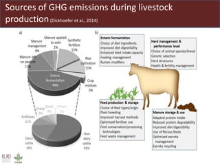 Sources of GHG emissions during livestock
production(Dickhoefer et al., 2014)
 