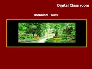Botanical Tours Digital Class room 