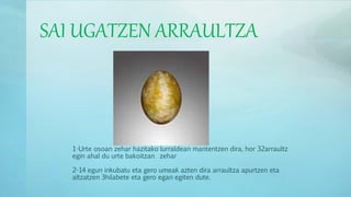 SAI UGATZEN ARRAULTZA
1-Urte osoan zehar hazitako lurraldean mantentzen dira, hor 32arraultz
egin ahal du urte bakoitzan zehar
2-14 egun inkubatu eta gero umeak azten dira arraultza apurtzen eta
altzatzen 3hilabete eta gero egan egiten dute.
 