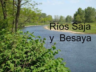 Ríos Saja y  Besaya 