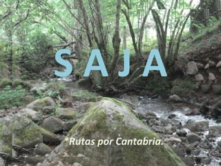 S A J A *Rutas por Cantabria. 