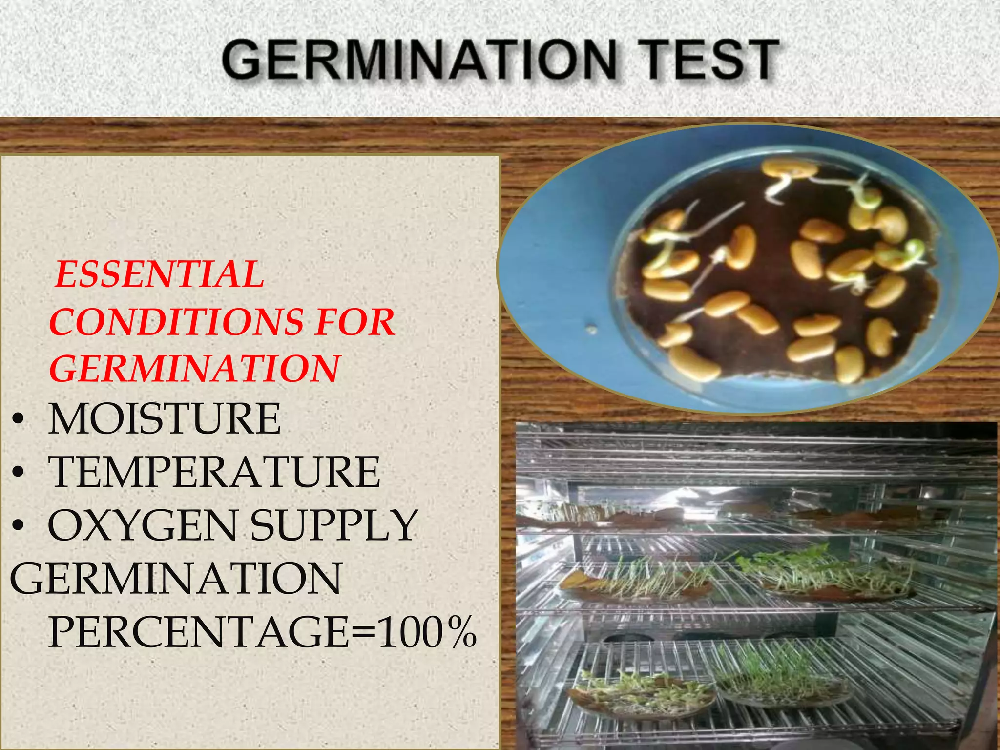 ESSENTIAL
CONDITIONS FOR
GERMINATION
• MOISTURE
• TEMPERATURE
• OXYGEN SUPPLY
GERMINATION
PERCENTAGE=100%
 