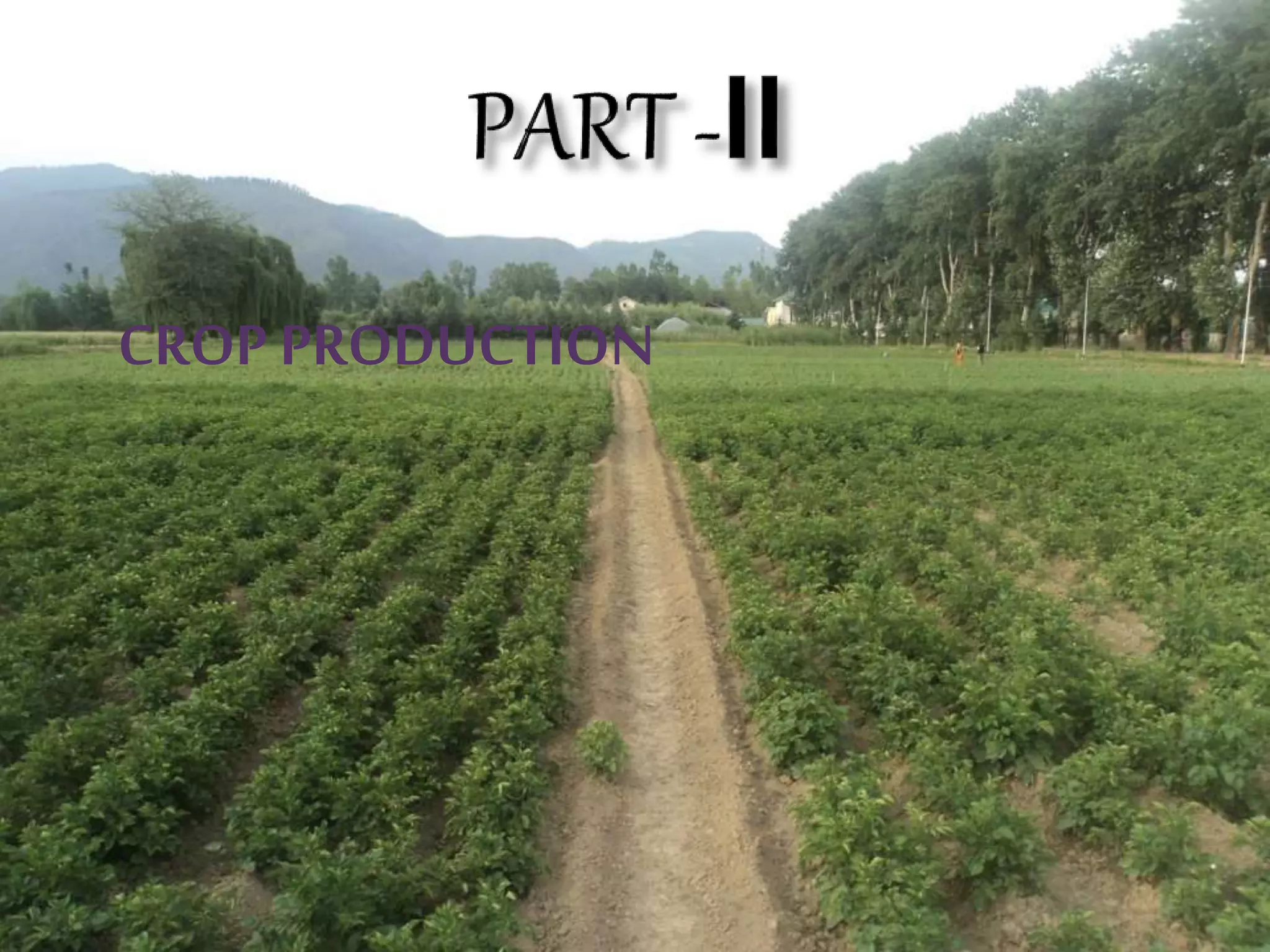CROP PRODUCTION
 