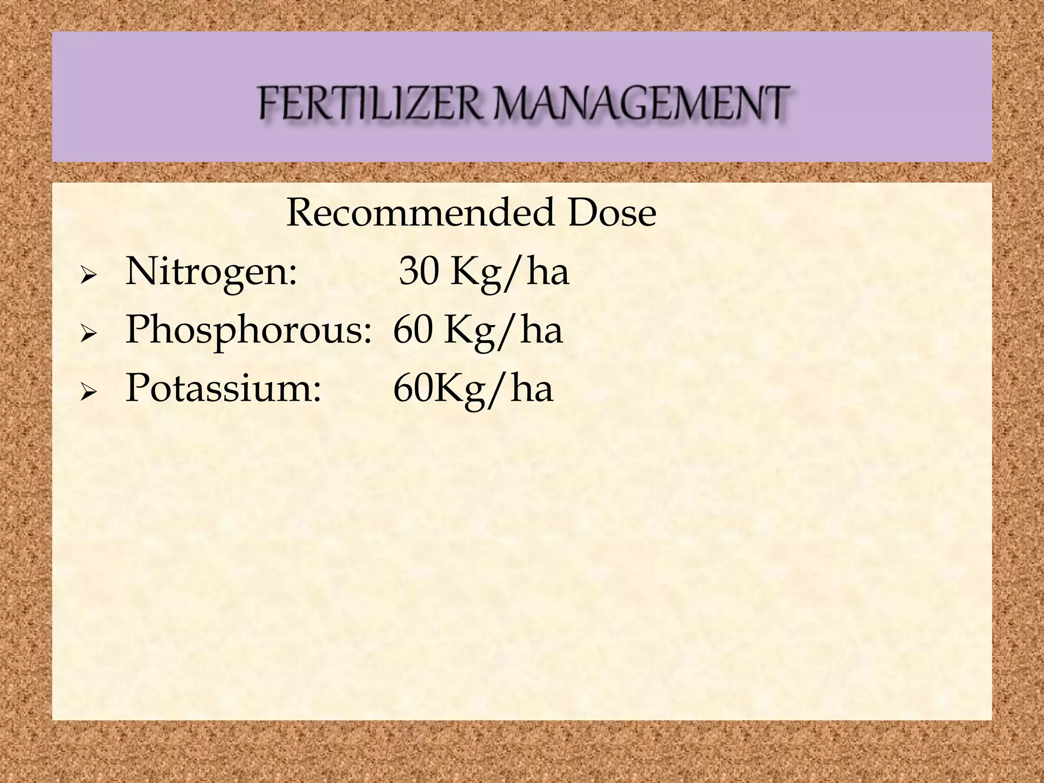 Recommended Dose
 Nitrogen: 30 Kg/ha
 Phosphorous: 60 Kg/ha
 Potassium: 60Kg/ha
 