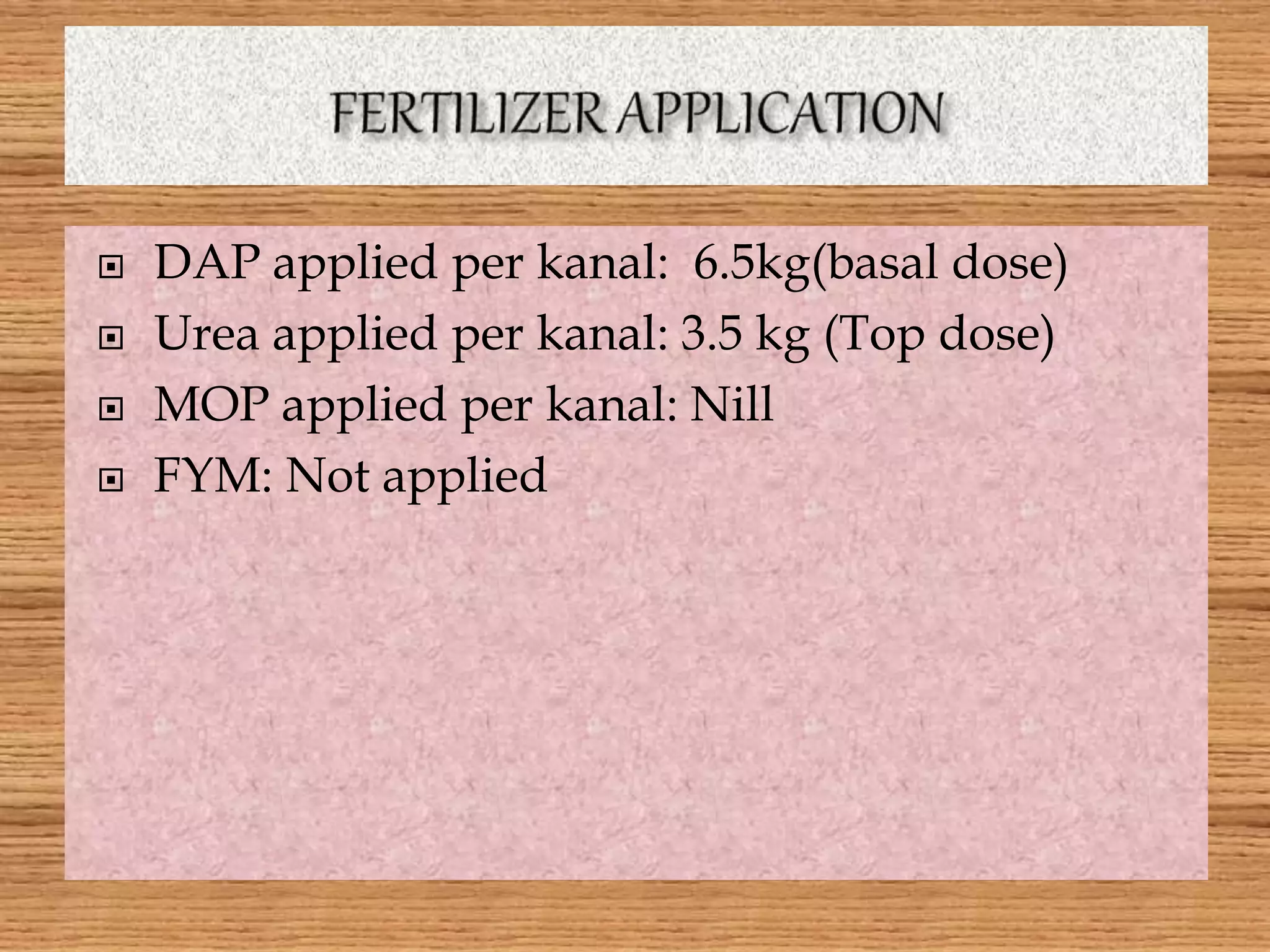  DAP applied per kanal: 6.5kg(basal dose)
 Urea applied per kanal: 3.5 kg (Top dose)
 MOP applied per kanal: Nill
 FYM: Not applied
 
