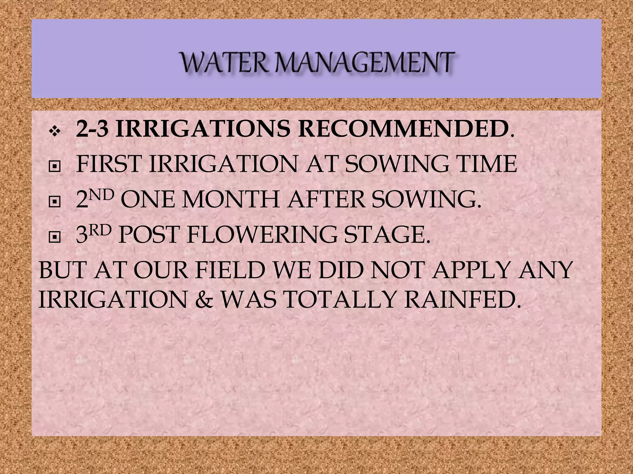  2-3 IRRIGATIONS RECOMMENDED.
 FIRST IRRIGATION AT SOWING TIME
 2ND ONE MONTH AFTER SOWING.
 3RD POST FLOWERING STAGE.
BUT AT OUR FIELD WE DID NOT APPLY ANY
IRRIGATION & WAS TOTALLY RAINFED.
 