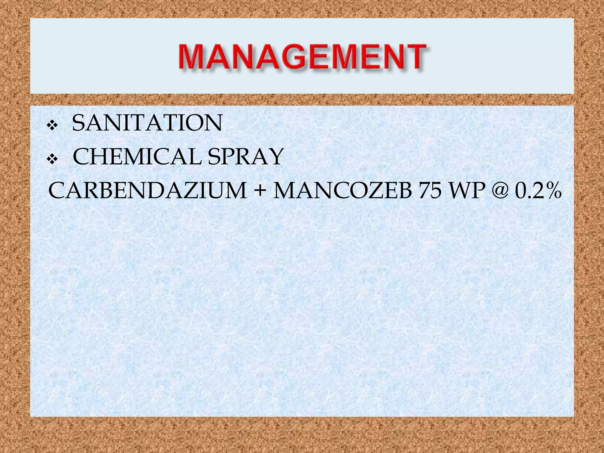  SANITATION
 CHEMICAL SPRAY
CARBENDAZIUM + MANCOZEB 75 WP @ 0.2%
 