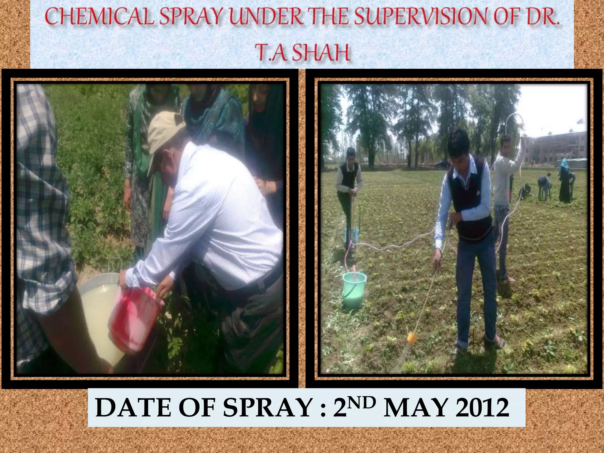 DATE OF SPRAY : 2ND MAY 2012
 
