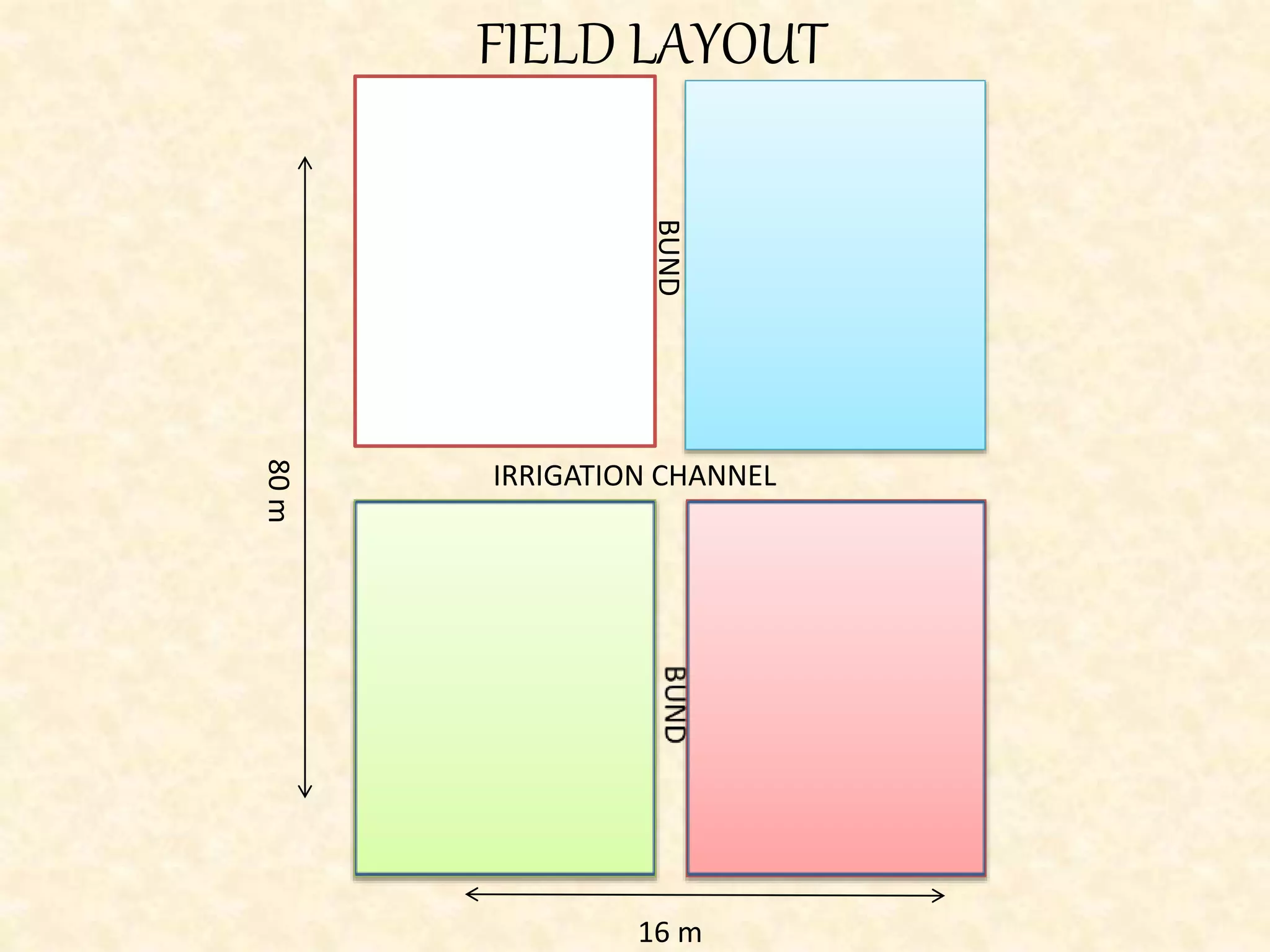 FIELD LAYOUT
IRRIGATION CHANNEL
BUND
80m
16 m
 