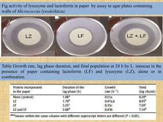 Fig activity of lysozyme and lactoferrin in paper by assay in agar plates containing
walls of Micrococcus lysodeikticus
Table Growth rate, lag phase duration, and final population at 24 h by L. innocua in the
presence of paper containing lactoferrin (LF) and lysozyme (LZ), alone or in
combination.
 