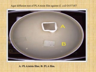 Agar diffusion test of PLA/nisin film against E. coli O157:H7
A: PLA/nisin film; B: PLA film.
 