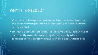 WHY IT IS NEEDED?
• When skin is damaged or lost due to injury or burns, bacteria
and other microorganisms have easy access to warm, nutrient-
rich body fluid.
• To treat a burn skin, surgeons first remove the burned skin and
then quickly cover the underlying tissue, usually with a
combination of laboratory-grown skin cells and artificial skin.
 