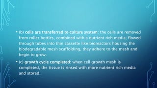 • (b) cells are transferred to culture system: the cells are removed
from roller bottles, combined with a nutrient rich media; flowed
through tubes into thin cassette like bioreactors housing the
biodegradable mesh scaffolding, they adhere to the mesh and
begin to grow.
• (c) growth cycle completed: when cell growth mesh is
completed, the tissue is rinsed with more nutrient rich media
and stored.
 