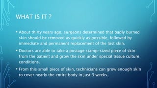 WHAT IS IT ?
• About thirty years ago, surgeons determined that badly burned
skin should be removed as quickly as possible, followed by
immediate and permanent replacement of the lost skin.
• Doctors are able to take a postage stamp-sized piece of skin
from the patient and grow the skin under special tissue culture
conditions.
• From this small piece of skin, technicians can grow enough skin
to cover nearly the entire body in just 3 weeks.
 