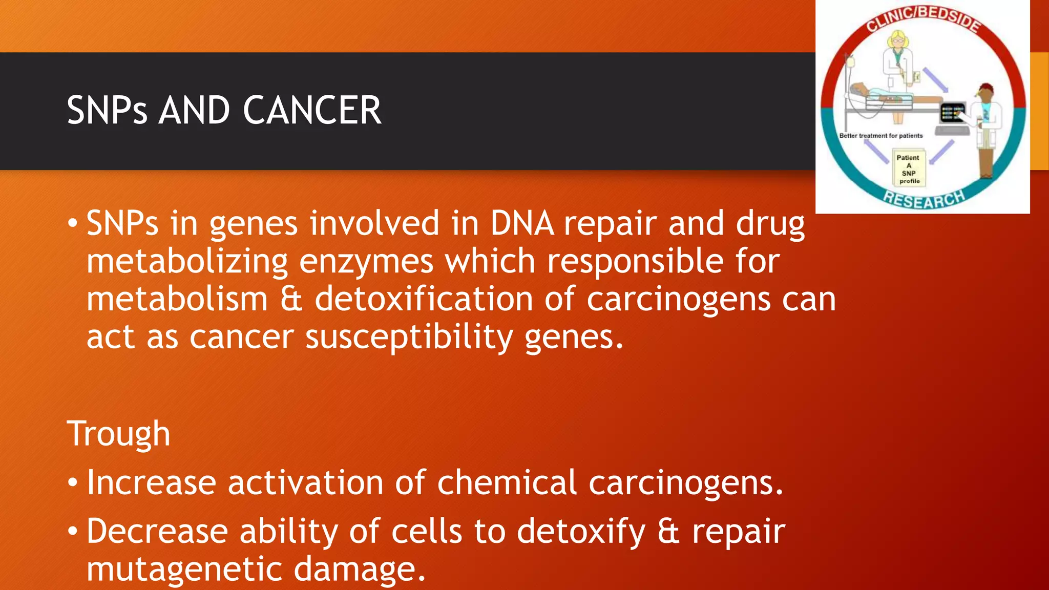 SNPs AND CANCER
• SNPs in genes involved in DNA repair and drug
metabolizing enzymes which responsible for
metabolism & detoxification of carcinogens can
act as cancer susceptibility genes.
Trough
• Increase activation of chemical carcinogens.
• Decrease ability of cells to detoxify & repair
mutagenetic damage.
 
