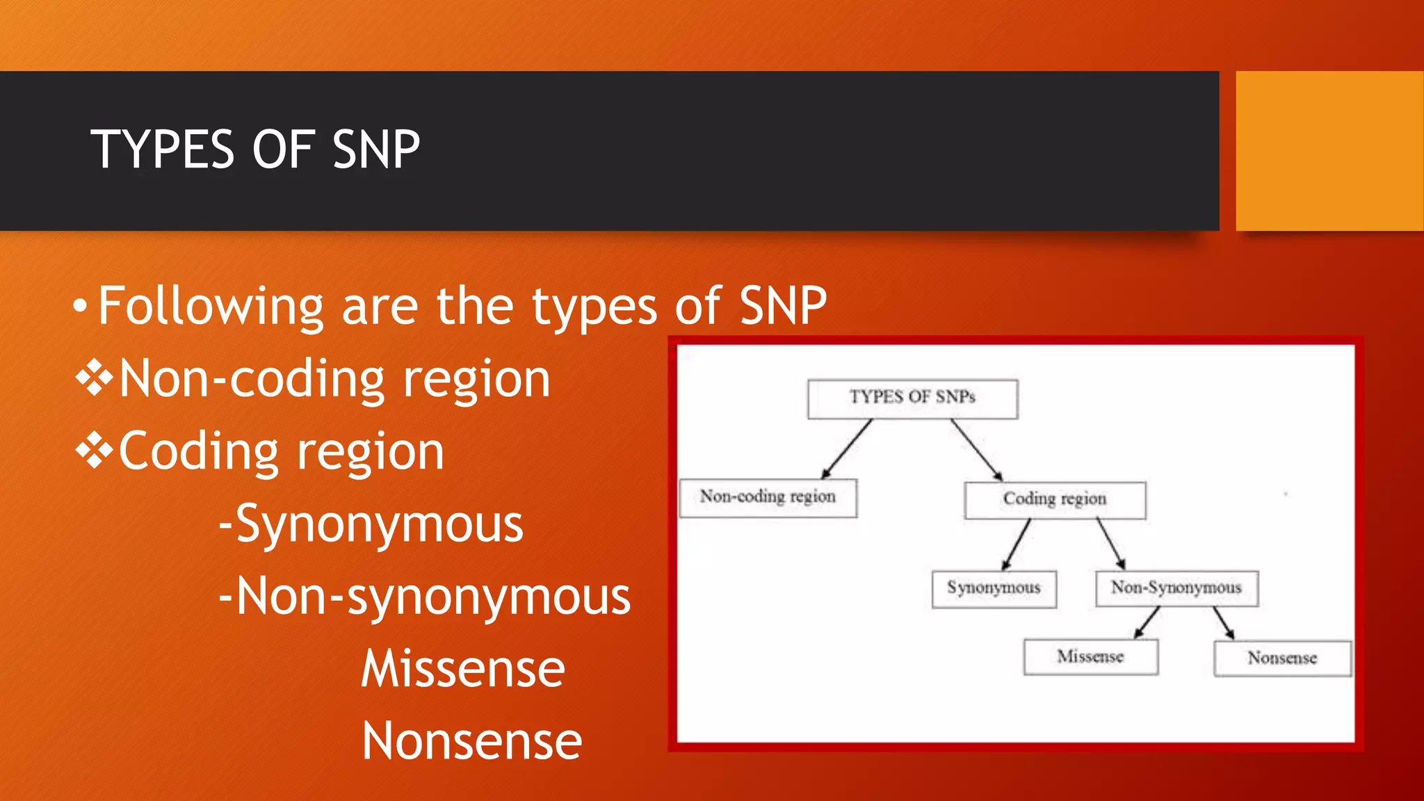 TYPES OF SNP
•Following are the types of SNP
Non-coding region
Coding region
-Synonymous
-Non-synonymous
Missense
Nonsense
 