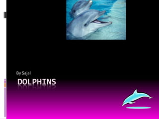 DOLPHINS
By Sajal
 