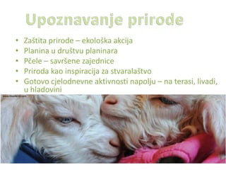 • Zaštita prirode – ekološka akcija
• Planina u društvu planinara
• Pčele – savršene zajednice
• Priroda kao inspiracija za stvaralaštvo
• Gotovo cjelodnevne aktivnosti napolju – na terasi, livadi,
u hladovini
 