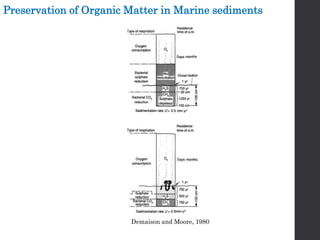 Preservation of Organic Matter in Marine sediments
Demaison and Moore, 1980
 