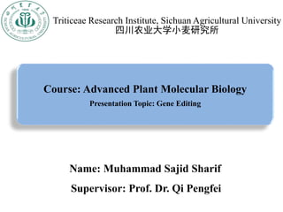 Triticeae Research Institute, Sichuan Agricultural University
四川农业大学小麦研究所
Course: Advanced Plant Molecular Biology
Presentation Topic: Gene Editing
Supervisor: Prof. Dr. Qi Pengfei
Name: Muhammad Sajid Sharif
 