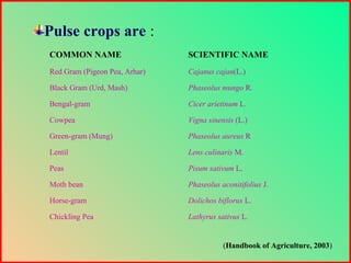 Pulse crops are :
COMMON NAME SCIENTIFIC NAME
Red Gram (Pigeon Pea, Arhar) Cajanus cajan(L.)
Black Gram (Urd, Mash) Phaseolus mungo R.
Bengal-gram Cicer arietinum L.
Cowpea Vigna sinensis (L.)
Green-gram (Mung) Phaseolus aureus R
Lentil Lens culinaris M.
Peas Pisum sativum L.
Moth bean Phaseolus aconitifolius J.
Horse-gram Dolichos biflorus L.
Chickling Pea Lathyrus sativus L.
(Handbook of Agriculture, 2003)
 