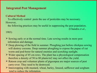 Cultural Method
To effectively control pests the use of pesticides may be necessary.
However,
the following practices may be useful in suppressing the pest population.
(Chandra et al.,
1983)
 Sowing early or at the normal time. Late sowing results in more pest
infestation and damage.
 Deep plowing of the field in summer. Ploughing just before chickpea sowing
will destroy cocoons. Deep summer ploughing to expose the pupae of cut
worm and pod-borer for natural enemies and scorching sunlight.
 Wider spacing of 45 cm rows. The plant has a physiological compensation
therefore a density of 50 to 80 plants/m2 may not affect the yield.
 Ratoon crop and volunteer plants of pigeonpea are major sources of pest
carry-over. They need to be destroyed.
 Intercropping with mustard, wheat, barley, linseed, safflower and sorghum
tend to reduce the infestation.
Integrated Pest Management
 