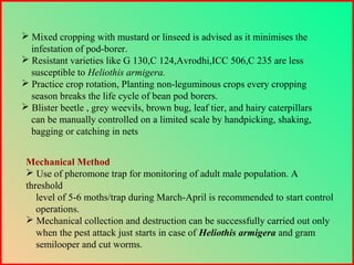 Mechanical Method
 Use of pheromone trap for monitoring of adult male population. A
threshold
level of 5-6 moths/trap during March-April is recommended to start control
operations.
 Mechanical collection and destruction can be successfully carried out only
when the pest attack just starts in case of Heliothis armigera and gram
semilooper and cut worms.
 Mixed cropping with mustard or linseed is advised as it minimises the
infestation of pod-borer.
 Resistant varieties like G 130,C 124,Avrodhi,ICC 506,C 235 are less
susceptible to Heliothis armigera.
 Practice crop rotation, Planting non-leguminous crops every cropping
season breaks the life cycle of bean pod borers.
 Blister beetle , grey weevils, brown bug, leaf tier, and hairy caterpillars
can be manually controlled on a limited scale by handpicking, shaking,
bagging or catching in nets
 