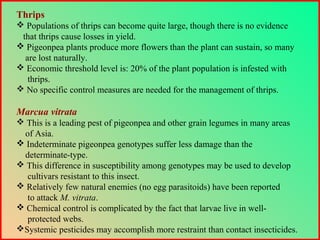 Thrips
 Populations of thrips can become quite large, though there is no evidence
that thrips cause losses in yield.
 Pigeonpea plants produce more flowers than the plant can sustain, so many
are lost naturally.
 Economic threshold level is: 20% of the plant population is infested with
thrips.
 No specific control measures are needed for the management of thrips.
Marcua vitrata
 This is a leading pest of pigeonpea and other grain legumes in many areas
of Asia.
 Indeterminate pigeonpea genotypes suffer less damage than the
determinate-type.
 This difference in susceptibility among genotypes may be used to develop
cultivars resistant to this insect.
 Relatively few natural enemies (no egg parasitoids) have been reported
to attack M. vitrata.
 Chemical control is complicated by the fact that larvae live in well-
protected webs.
Systemic pesticides may accomplish more restraint than contact insecticides.
 