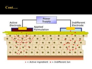  The epidermis, is approximately 100 to150 µm thick.