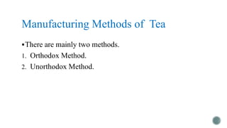 Method of Manufacturing and Fermentation of Tea | PPTX