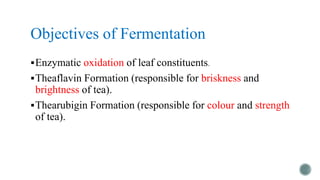 Method of Manufacturing and Fermentation of Tea | PPTX